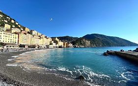 Casaviva - Sweet Bilo On The Sea In Camogli
